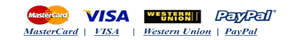 www.wholesalejewelry7.com Accepted Credit Cards, VISA MasterCard Western Union